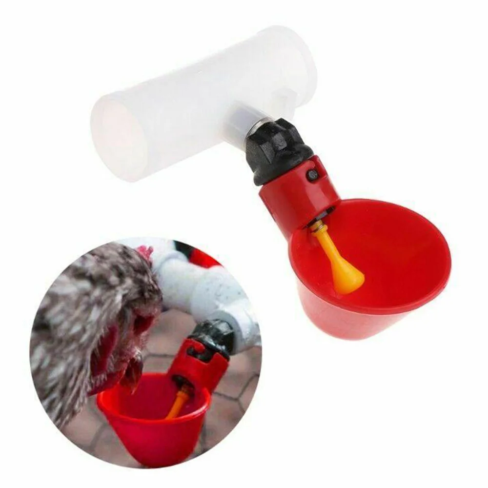 10PCS Chicken Water Drinking Cups Quail Drinking Bowls Chicken Bird Automatic Drinker Feeder Nipple Backyard Automatic Poultry
10PCS Chicken Water Drinking Cups Quail Drinking Bowls Chicken Bird Automatic Drinker Feeder Nipple Backyard Automatic Poultry
