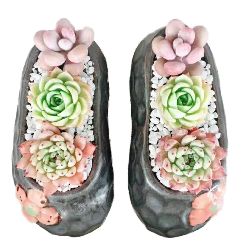 Creative Ceramic Flowerpot Garden Decoration Cartoon Shoes Shape Flower Pot Ceramic Potted Vase White Plant Pots Office Decor
Creative Ceramic Flowerpot Garden Decoration Cartoon Shoes Shape Flower Pot Ceramic Potted Vase White Plant Pots Office Decor