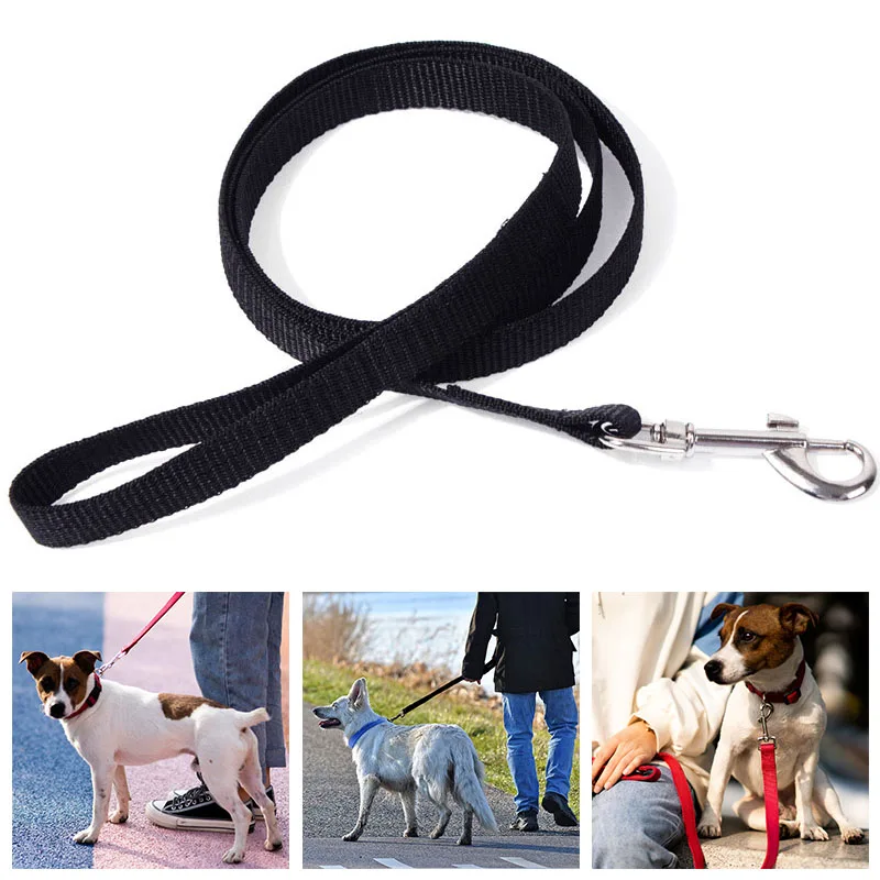 Nylon Dog Leashes 6 Colors 1.1M Pet Walking Training Leash Long Cats Dogs Harness Lead Strap Belt
Nylon Dog Leashes 6 Colors 1.1M Pet Walking Training Leash Long Cats Dogs Harness Lead Strap Belt