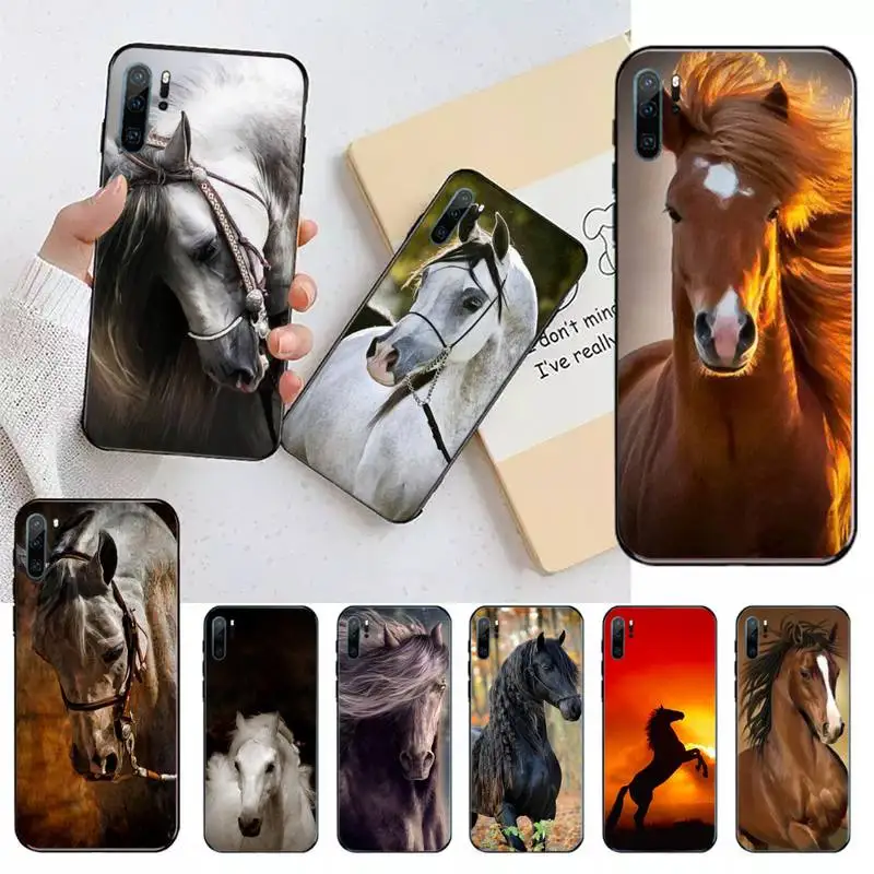Frederik The Great beauty horse Phone Case For Huawei honor Mate 10 20 30 40 i 9 8 pro x Lite P smart 2019 nova 5t
Frederik The Great beauty horse Phone Case For Huawei honor Mate 10 20 30 40 i 9 8 pro x Lite P smart 2019 nova 5t