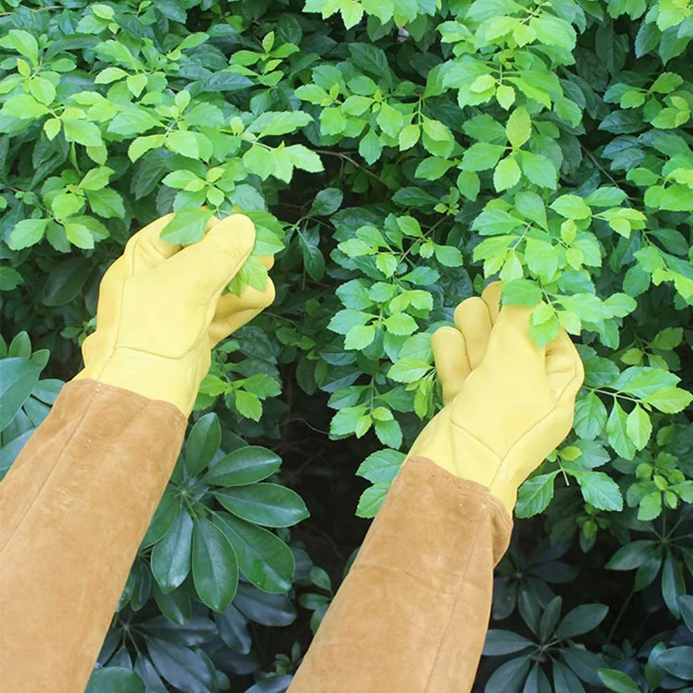 Long Sleeve Beekeeping Gardening Gloves Cut Proof Rose Pruning Durable Puncture Resistant Soft Welding Non Slip Thorn Protective
Long Sleeve Beekeeping Gardening Gloves Cut Proof Rose Pruning Durable Puncture Resistant Soft Welding Non Slip Thorn Protective