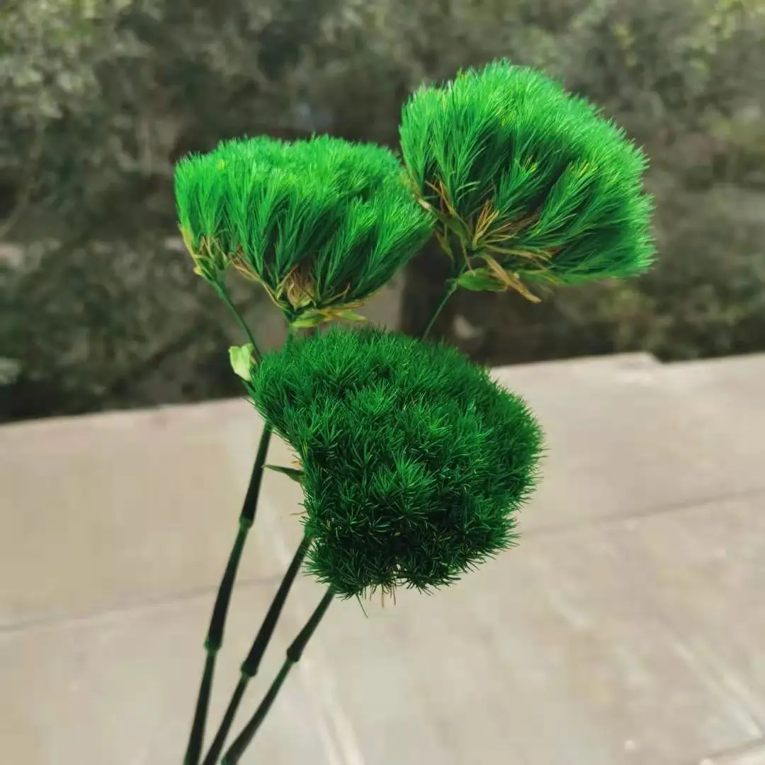 3pcs/35cm,Nature Preserved flower Bouquet,Immortal Green grass ball Flower arrangement Wedding Party Home Decoration accessories
3pcs/35cm,Nature Preserved flower Bouquet,Immortal Green grass ball Flower arrangement Wedding Party Home Decoration accessories