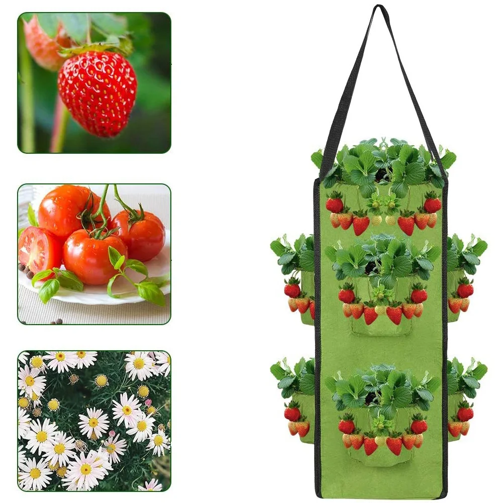 Hanging Growing Bags Felt Planting Bag Strawberry Planter with 8 Pockets Cultivation Container for Fruit Flowers Vegetable
Hanging Growing Bags Felt Planting Bag Strawberry Planter with 8 Pockets Cultivation Container for Fruit Flowers Vegetable