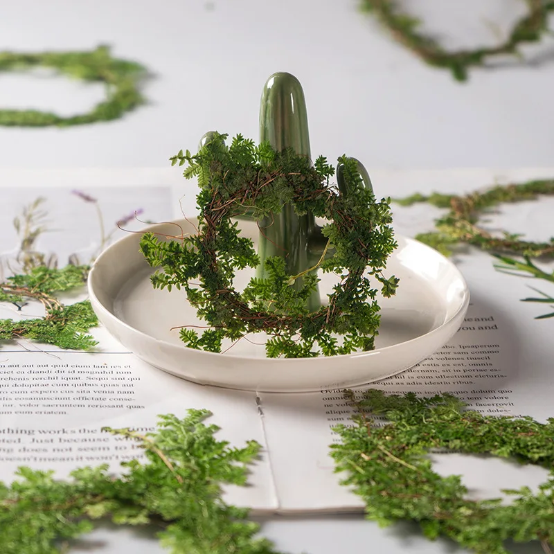 12pcs Pressed Dried Selaginella uncinata Wreath Leaf Herbarium For Garden Miniatures Making Bookmark Face Makeup Nail Art Craft
12pcs Pressed Dried Selaginella uncinata Wreath Leaf Herbarium For Garden Miniatures Making Bookmark Face Makeup Nail Art Craft
