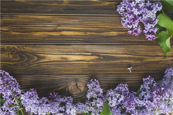 SHENGYONGBAO Vinyl Custom Photography Backdrops Props Flower and Wood Planks theme Photo Studio Background 20212-30
SHENGYONGBAO Vinyl Custom Photography Backdrops Props Flower and Wood Planks theme Photo Studio Background 20212-30