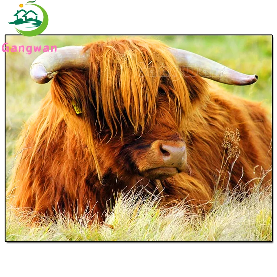 Алмазная живопись 5D «сделай сам», высокогорная корова, мозаика для вышивки, скот, черные и белые художественные стразы, картина для украшения дома
Алмазная живопись 5D «сделай сам», высокогорная корова, мозаика для вышивки, скот, черные и белые художественные стразы, картина для украшения дома