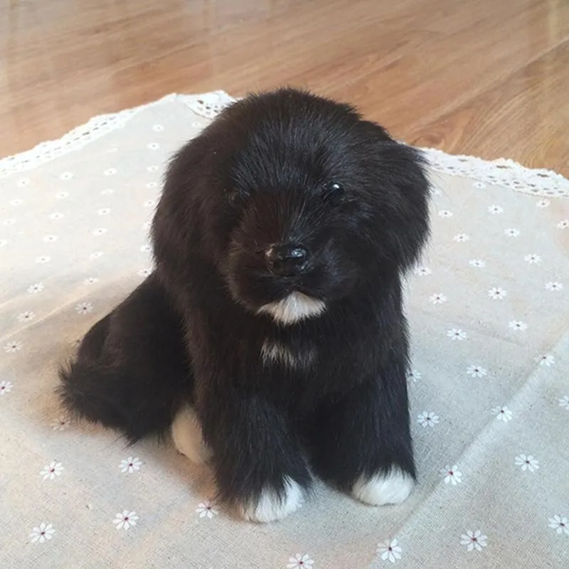 Cute Simulation Little Black Dog Model Toy Stuffed Animals Decoration Collection Pet Plush Dolls Dog Doll Home Photography
Cute Simulation Little Black Dog Model Toy Stuffed Animals Decoration Collection Pet Plush Dolls Dog Doll Home Photography