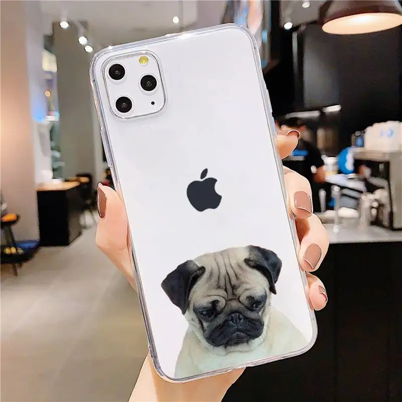 Pug dog animal high quality Phone Case Transparent soft For iphone 5 5s 5c se 6 6s 7 8 11 12 plus mini x xs xr pro max
Pug dog animal high quality Phone Case Transparent soft For iphone 5 5s 5c se 6 6s 7 8 11 12 plus mini x xs xr pro max