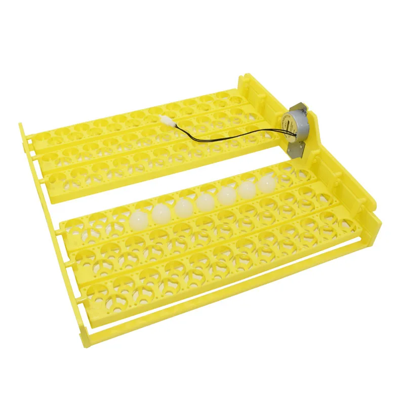 Poultry incubator egg tray 132 pcs Quail Parrot Pigeon Small Bird Snake Hatcher Automatic Turn Plastic Incubator 2set
Poultry incubator egg tray 132 pcs Quail Parrot Pigeon Small Bird Snake Hatcher Automatic Turn Plastic Incubator 2set