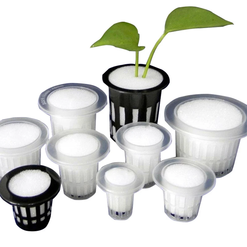 50Pc Plant Grow Pots Net Nursery Cup Hydroponic Colonization Mesh plastic Basket Holder Aeroponic vegetable Planting Soilles
50Pc Plant Grow Pots Net Nursery Cup Hydroponic Colonization Mesh plastic Basket Holder Aeroponic vegetable Planting Soilles