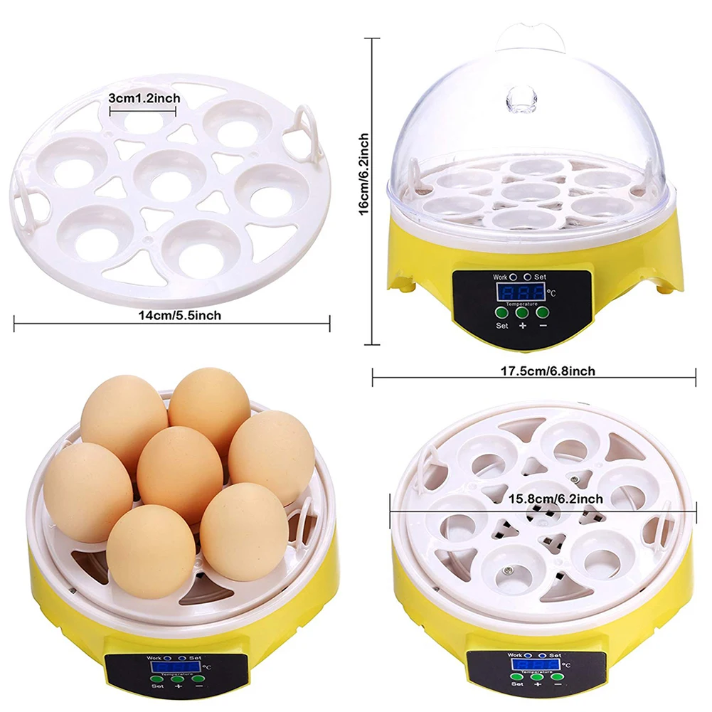 Eggs Chicken Bird Incubator Eggs Rack Tray Hatching Machine Automatic Intelligent Temperature Control Incubation Brooder
Eggs Chicken Bird Incubator Eggs Rack Tray Hatching Machine Automatic Intelligent Temperature Control Incubation Brooder