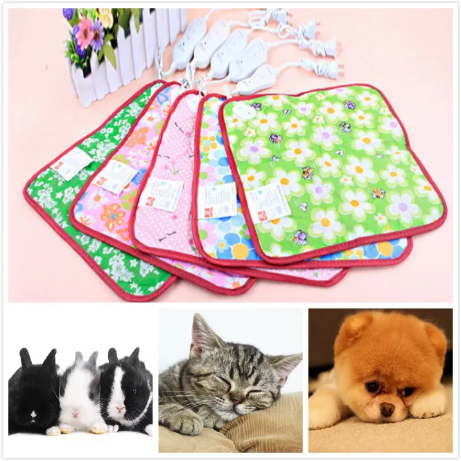 Dog Supplies Pet Winter Beds Pad Mat Cat Electric Heated Electric Heated Warm Pet Bed Pet Heated Bed 220V COZY Heat Blanket
Dog Supplies Pet Winter Beds Pad Mat Cat Electric Heated Electric Heated Warm Pet Bed Pet Heated Bed 220V COZY Heat Blanket