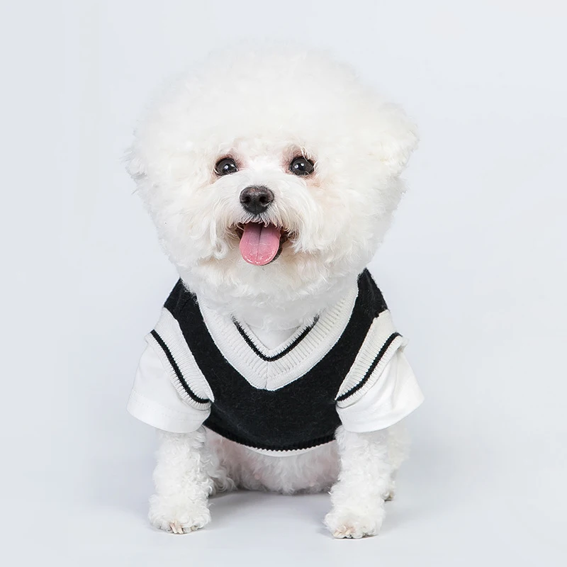 Black Dog Sweater Dog Clothes for Small Dogs Yorkshire Dog Costume Designer Dog Dog Costumes French Bulldog Accessories 1102
Black Dog Sweater Dog Clothes for Small Dogs Yorkshire Dog Costume Designer Dog Dog Costumes French Bulldog Accessories 1102