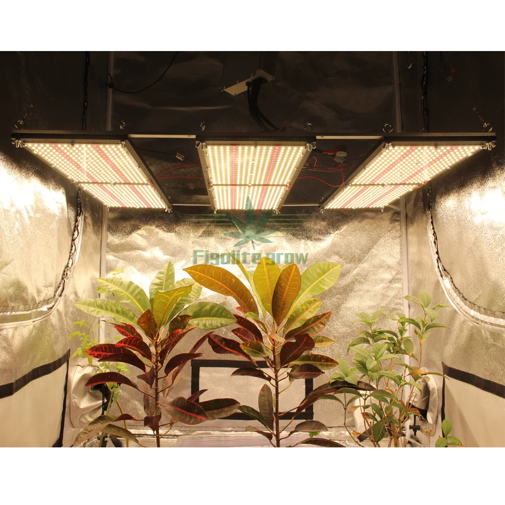2020 High PPFD 2.5 umol/j DIY 600W Samsung LM301H QB288 Quantum Tech V3 Board Led Grow Lights Meanwell driver,7 years warranty
2020 High PPFD 2.5 umol/j DIY 600W Samsung LM301H QB288 Quantum Tech V3 Board Led Grow Lights Meanwell driver,7 years warranty