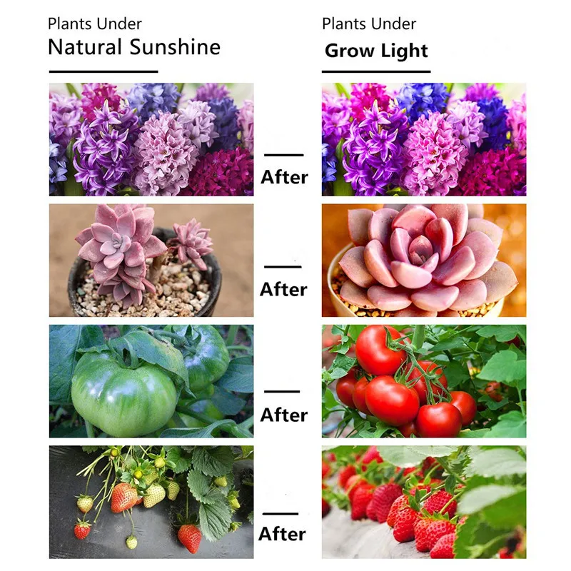 3 Head 15W LED Growth Light Green Plant Growing Lamp Full Spectrum Red Blue Color Flower Growbox Hydroponics Succulent Spotlight
3 Head 15W LED Growth Light Green Plant Growing Lamp Full Spectrum Red Blue Color Flower Growbox Hydroponics Succulent Spotlight