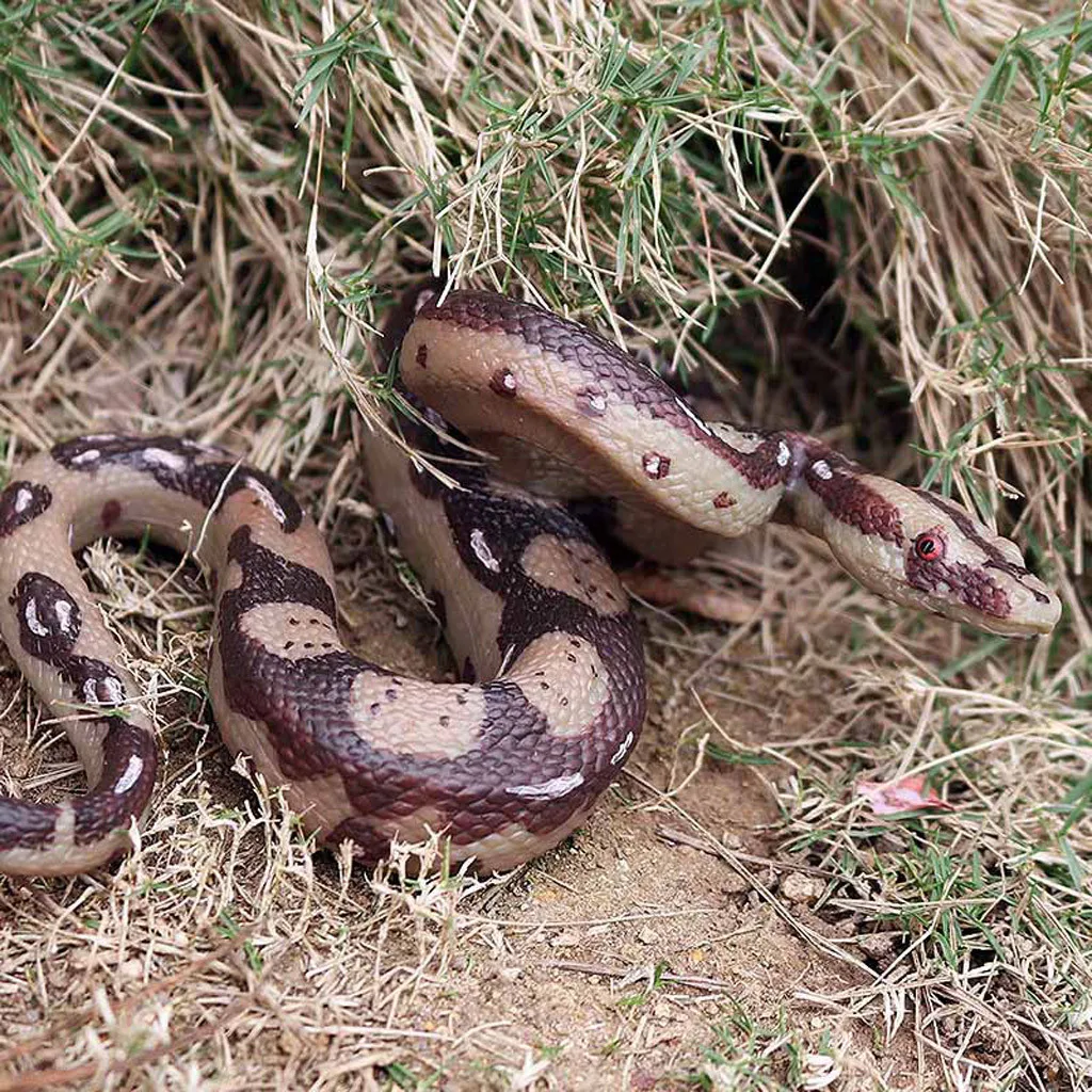 Animal Creative Top Funny Large Realistic Rubber Snake, Prank Snake Toy Family Games Classic Creativity Handicraft Toys #10
Animal Creative Top Funny Large Realistic Rubber Snake, Prank Snake Toy Family Games Classic Creativity Handicraft Toys #10
