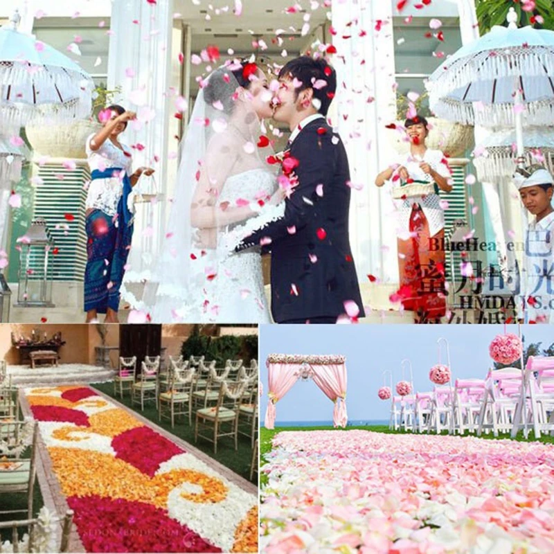 2000 Pcs Artificial Rose Petals Wedding Petalas Colorful Silk Flower Accessories 
2000 Pcs Artificial Rose Petals Wedding Petalas Colorful Silk Flower Accessories
