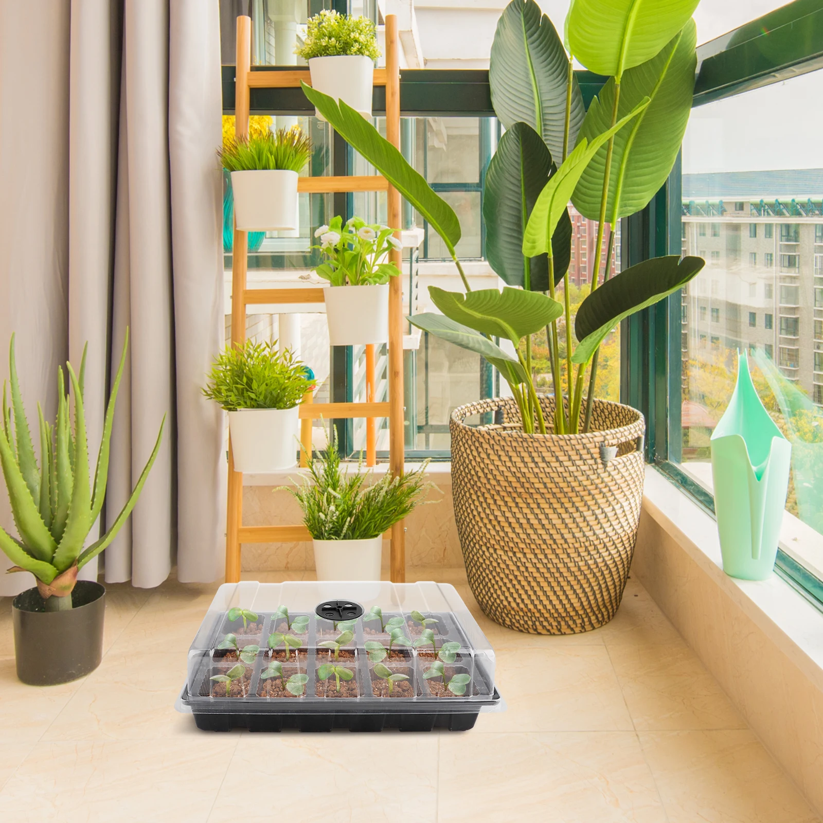 3PCS Pots For Plants And Flowers Seeding Starter Plant Tray Seedling Box 15 Hole Transparent Plastic Greenhouse Germination
3PCS Pots For Plants And Flowers Seeding Starter Plant Tray Seedling Box 15 Hole Transparent Plastic Greenhouse Germination