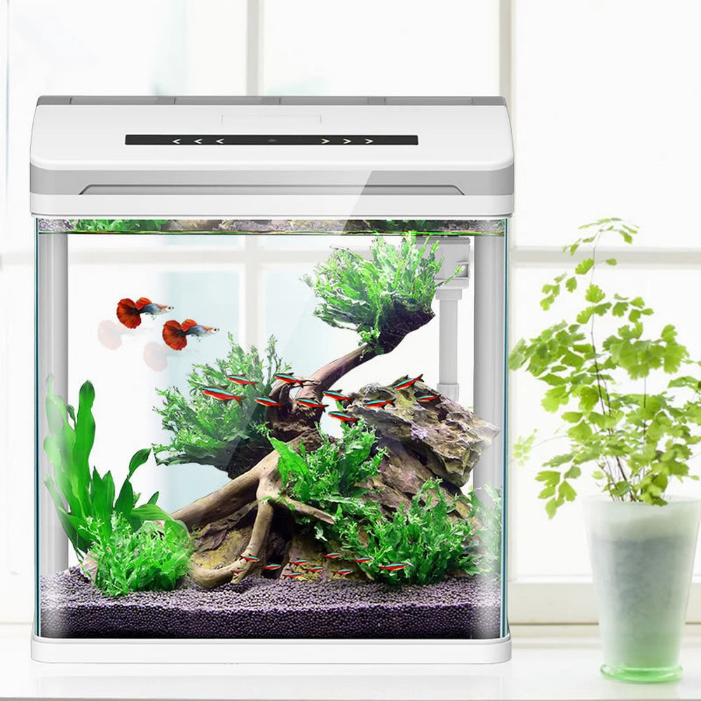 Мини умный аквариум Betta Fish креативный для рыб домашний OfficeTea украшение стола