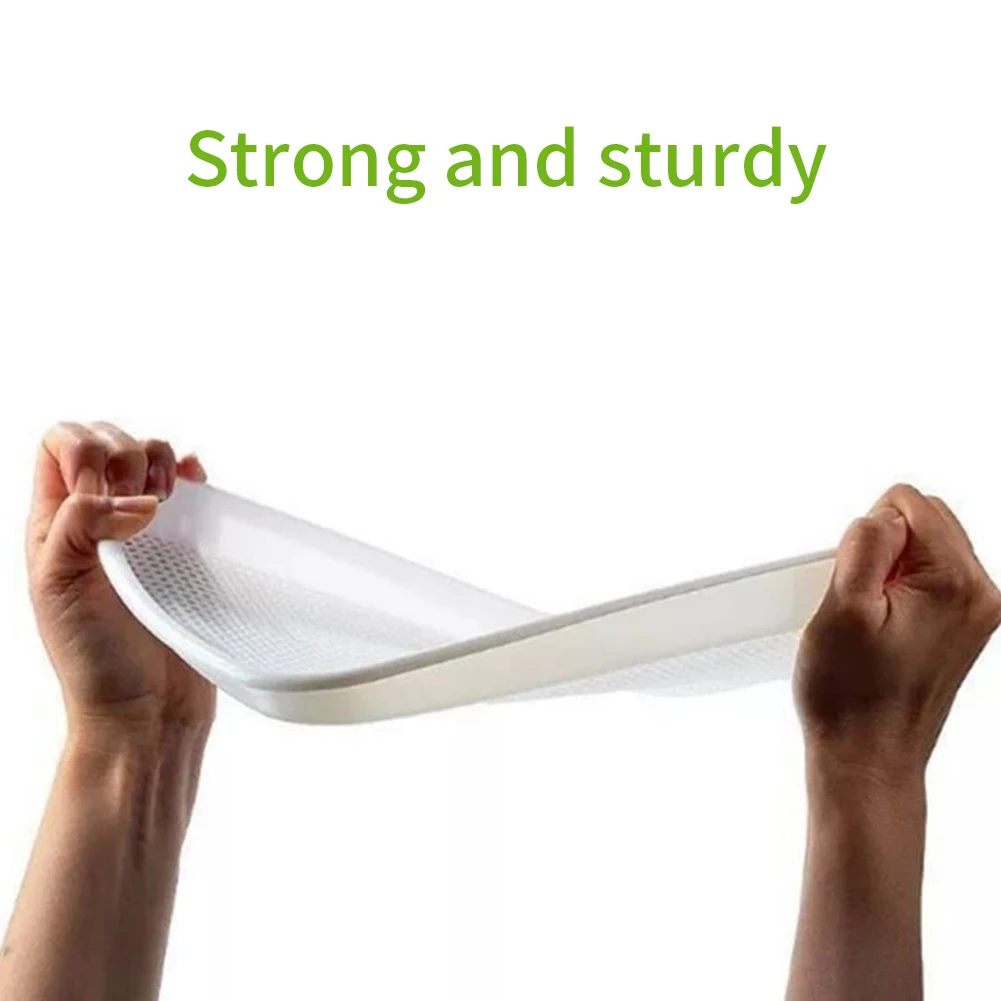 5PCS Seedling Tray Seed Starter Green Tray Double Layer Arc Soilless Cultivation For Gardening Bonsai Grass Plant Hydroponics
5PCS Seedling Tray Seed Starter Green Tray Double Layer Arc Soilless Cultivation For Gardening Bonsai Grass Plant Hydroponics