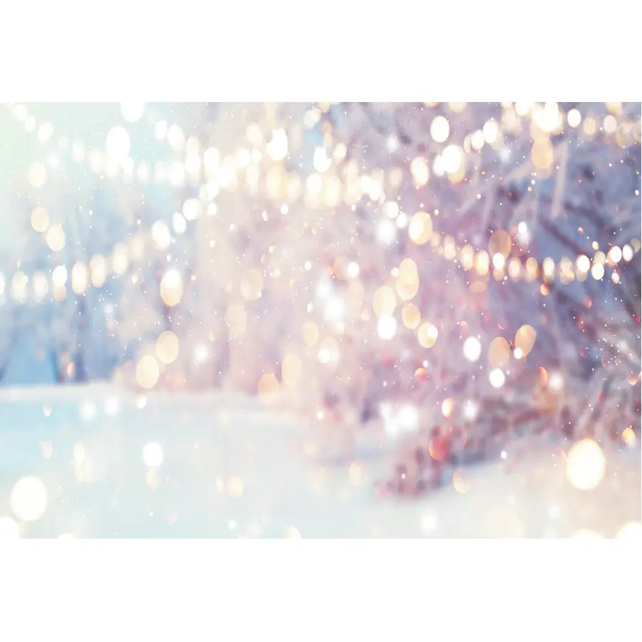 Aperture Bokeh Backdrop Newborns Wedding Winter Snow Scene Photography Xmas Family Holiday Party Decoration Photo Booth
Aperture Bokeh Backdrop Newborns Wedding Winter Snow Scene Photography Xmas Family Holiday Party Decoration Photo Booth