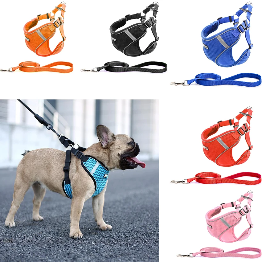 Комплект поводков для собак, Регулируемый жилет из дышащей сетки, для прогулок с маленькими и средними питомцами, товары для бульдогов 
Комплект поводков для собак, Регулируемый жилет из дышащей сетки, для прогулок с маленькими и средними питомцами, товары для бульдогов