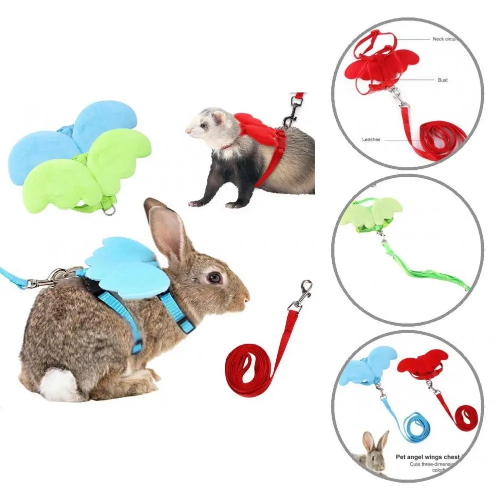 Premium Pet Traction Rope Adorable Easy to Clean Pet Rabbit Chest Strap Leash Set Pet Traction Leash Pet Chest Strap 1Set
Premium Pet Traction Rope Adorable Easy to Clean Pet Rabbit Chest Strap Leash Set Pet Traction Leash Pet Chest Strap 1Set