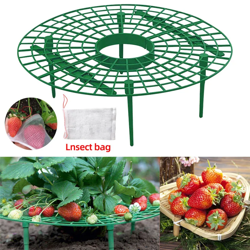 5Pcs Strawberry Plant Supports Strawberry Fruit Growing Stand Frame Pillar Balcony Planting Rack Plant Gardening Stand
5Pcs Strawberry Plant Supports Strawberry Fruit Growing Stand Frame Pillar Balcony Planting Rack Plant Gardening Stand