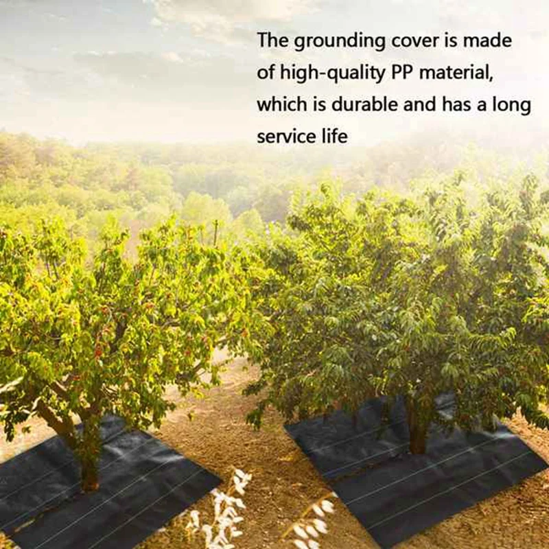 8 Packs of 120 x 120cm Weed Barrier Fabrics Heavy Weed Barrier Landscape Fabrics for Outdoor Gardens
8 Packs of 120 x 120cm Weed Barrier Fabrics Heavy Weed Barrier Landscape Fabrics for Outdoor Gardens