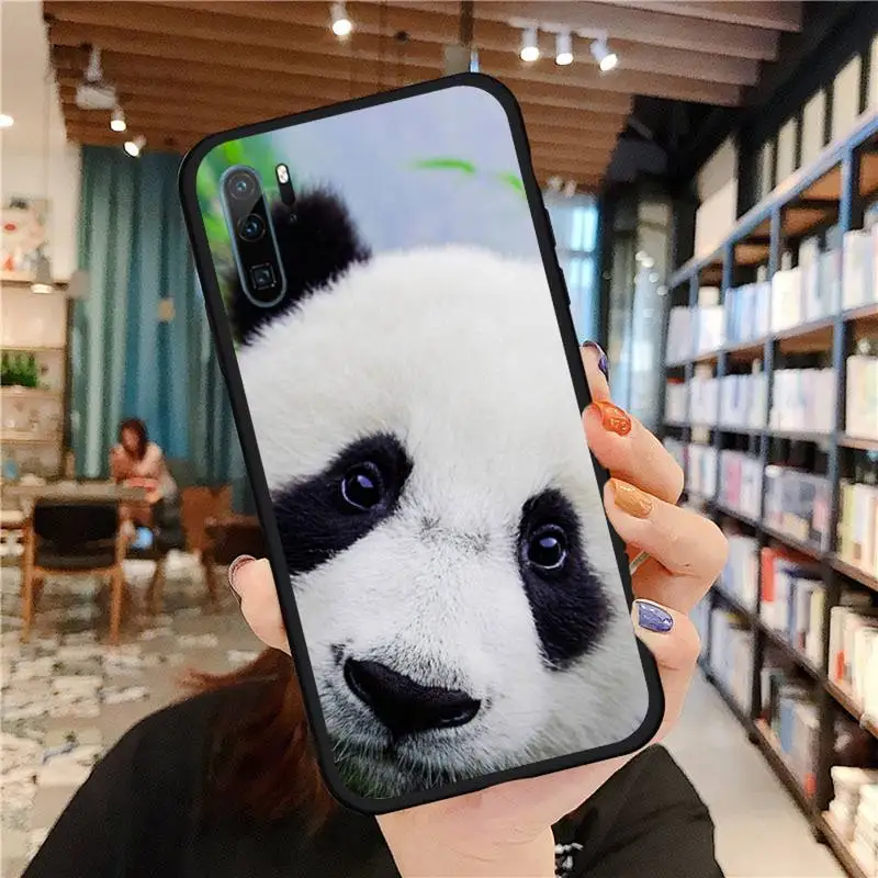 Asian Baby Panda Bear China Phone Case For Huawei honor Mate P 9 10 20 30 40 Pro 10i 7 8 a x Lite nova 5t
Asian Baby Panda Bear China Phone Case For Huawei honor Mate P 9 10 20 30 40 Pro 10i 7 8 a x Lite nova 5t