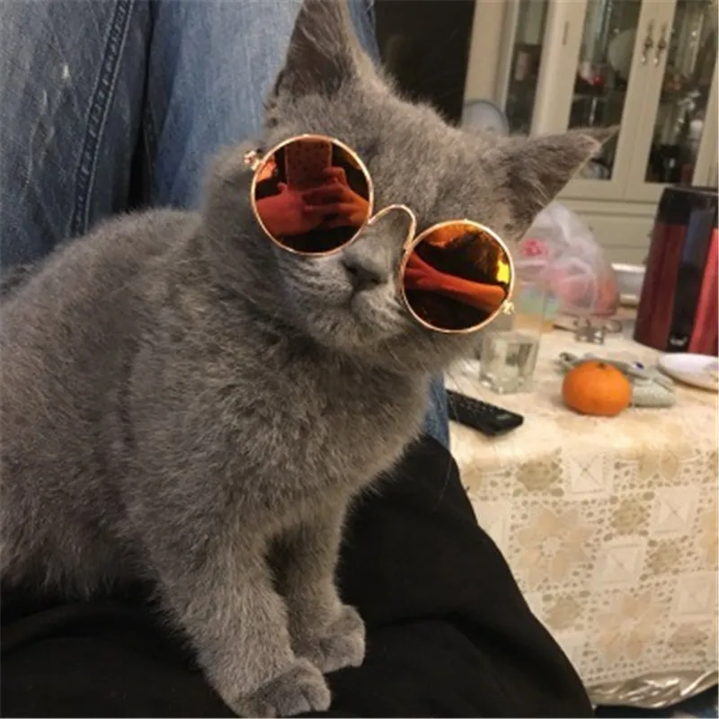Cat Sunglasses Dog Reflective Sunglasses Teddy Personality Funny Headwear Pet Accessories Cat Glasses
Cat Sunglasses Dog Reflective Sunglasses Teddy Personality Funny Headwear Pet Accessories Cat Glasses