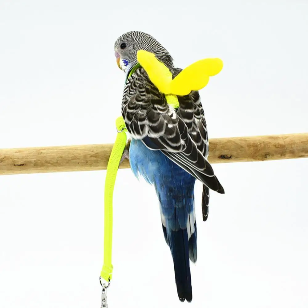 1Pc Durable Flexible Adjustable Parrot Harness Leash Outdoor Training Traction Rope Angel Wing Pet Products Accessories
1Pc Durable Flexible Adjustable Parrot Harness Leash Outdoor Training Traction Rope Angel Wing Pet Products Accessories