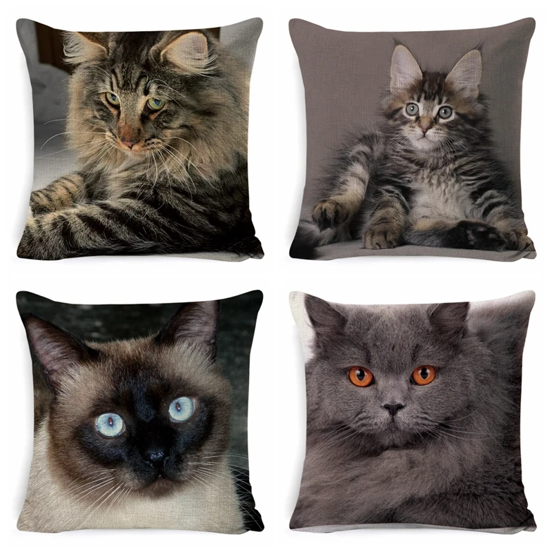 Cotton Linen Square Black Cat Cushion Cover 45*45 Pillow Case Decorative Pillow Cover for Car Sofa Cushions Pillows Decor Home
Cotton Linen Square Black Cat Cushion Cover 45*45 Pillow Case Decorative Pillow Cover for Car Sofa Cushions Pillows Decor Home