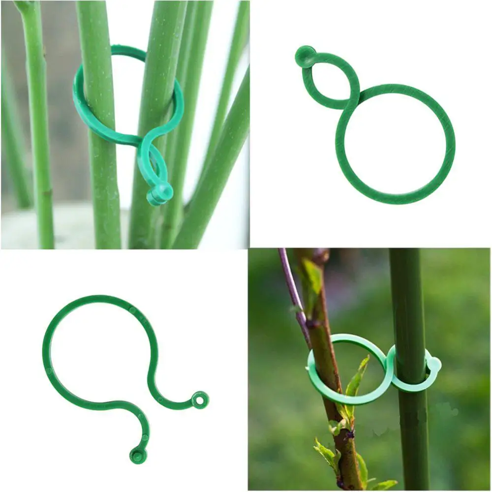 50pcs Plastic Fixed Clip Vine Branches Support Plant Clip Tied Branch Tendril Clip Vegetables Sling Device Garden Greenhouse
50pcs Plastic Fixed Clip Vine Branches Support Plant Clip Tied Branch Tendril Clip Vegetables Sling Device Garden Greenhouse