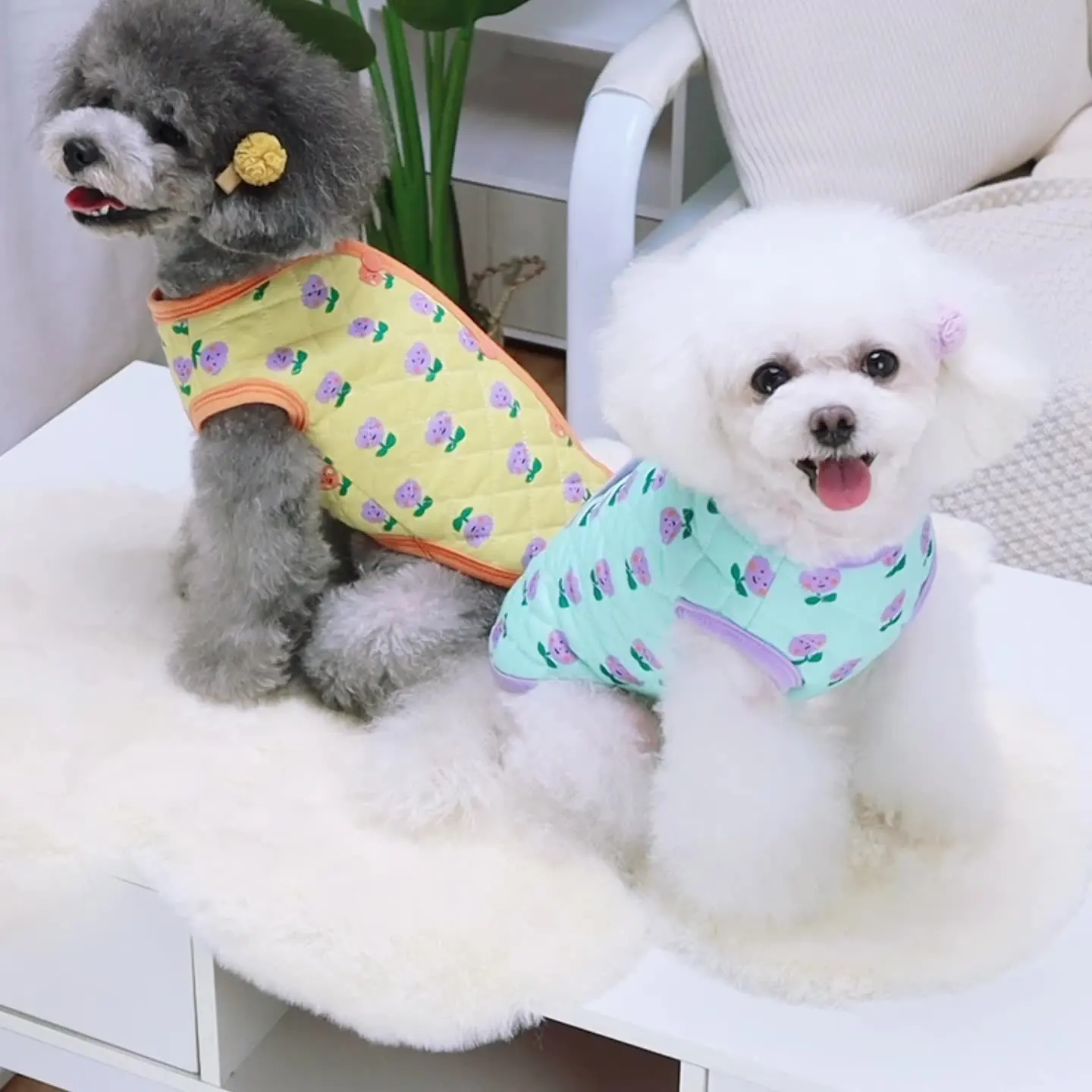 Dog Autumn and Winter Clothes Warm Sweet Cotton Vest Pet Dog Clothing Pet Supplies Teddy Puppy Clothes
Dog Autumn and Winter Clothes Warm Sweet Cotton Vest Pet Dog Clothing Pet Supplies Teddy Puppy Clothes