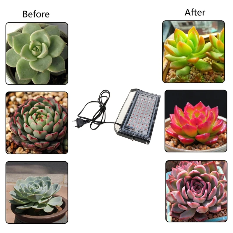 50W LED Floodlight Spotlight 220V Grow Light PhytoLamp Streetlight Full Spectrum
50W LED Floodlight Spotlight 220V Grow Light PhytoLamp Streetlight Full Spectrum