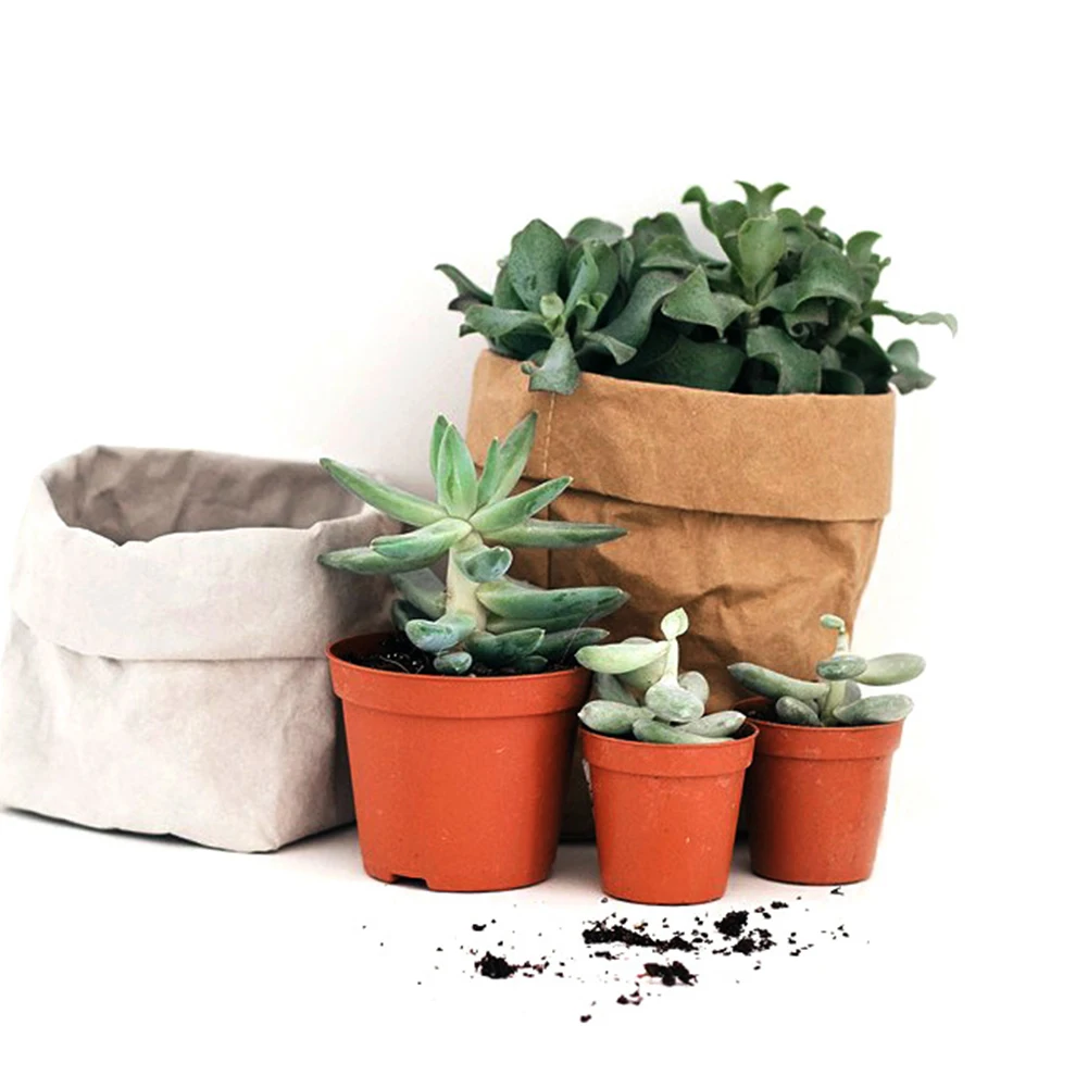 Washable Kraft Paper Flowerpot Desktop Flower Reuseable Multifunction Storage Bag Pot Container Flowerpot Succulents Planter Pot
Washable Kraft Paper Flowerpot Desktop Flower Reuseable Multifunction Storage Bag Pot Container Flowerpot Succulents Planter Pot
