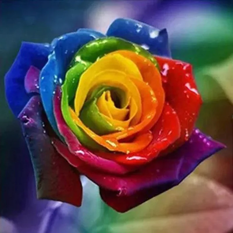 Needlework Diy Diamond Embroidery Colorful Roses Paint With Diamond Painting Flower Wall Art Decor Mosaic Gift
Needlework Diy Diamond Embroidery Colorful Roses Paint With Diamond Painting Flower Wall Art Decor Mosaic Gift