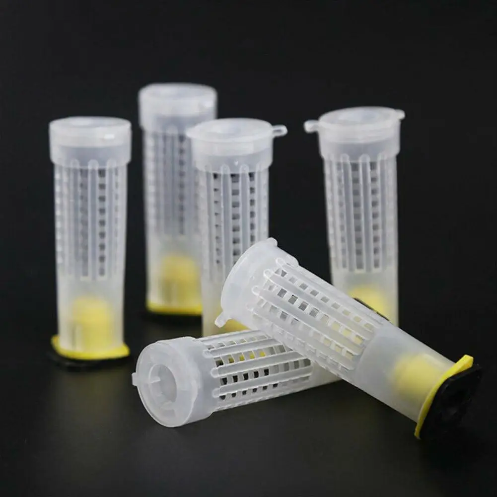 Bees Tools Cages King Queen Rearing Cup Kit System Box Cups Nicot Catcher Bee Cage Cell Beekeeping Complete Kit H9Z4
Bees Tools Cages King Queen Rearing Cup Kit System Box Cups Nicot Catcher Bee Cage Cell Beekeeping Complete Kit H9Z4