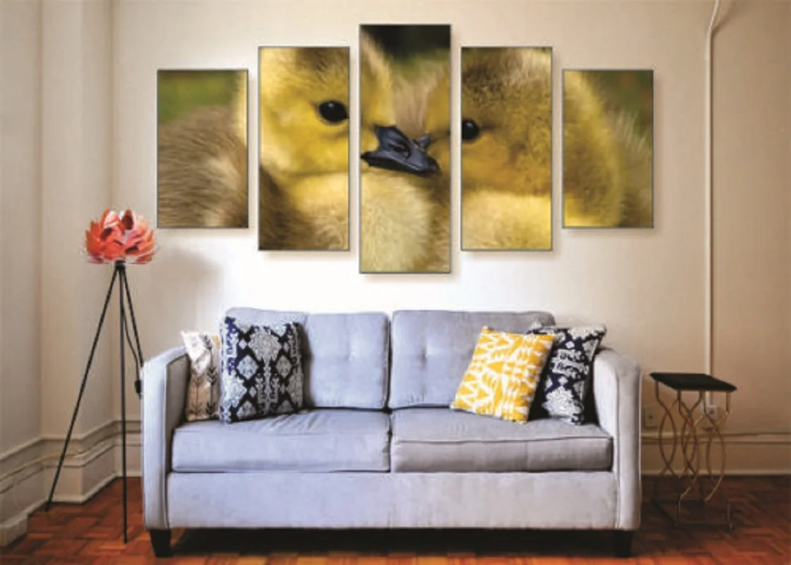 No Framed Loving Ducks 5 Pcs Canvas Picture Wall Art Modern Vintage Print Canvas Wall Decor for Living Room
No Framed Loving Ducks 5 Pcs Canvas Picture Wall Art Modern Vintage Print Canvas Wall Decor for Living Room