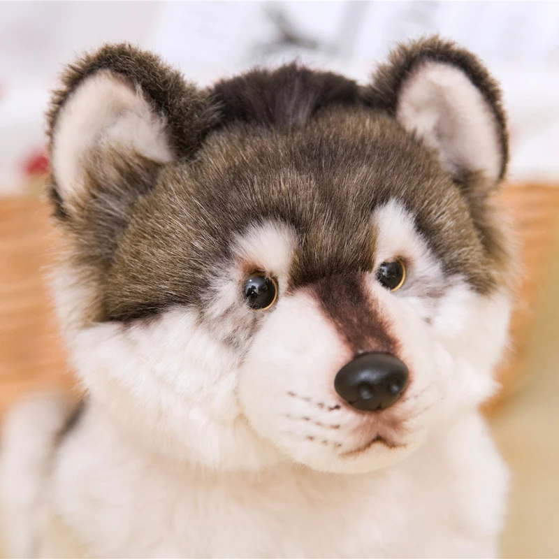 38cm Simulation Wolf Wolf Lifelike Pet Anime Decor Collection Stuffed Cotton Soft Dog Doll Plush Toy Kid Gift
38cm Simulation Wolf Wolf Lifelike Pet Anime Decor Collection Stuffed Cotton Soft Dog Doll Plush Toy Kid Gift