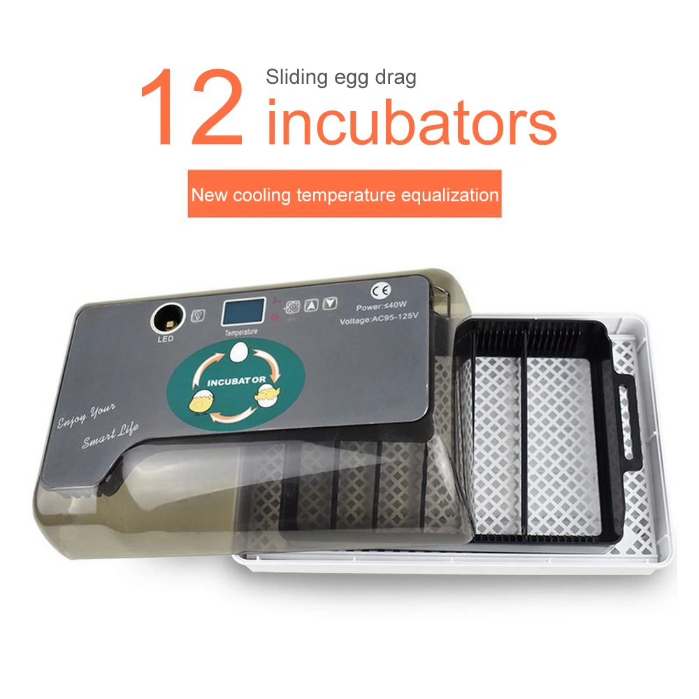 Automatic Digital 12 Eggs Incubator Hatcher Controller Large Capacity Practical Incubators For Chicken Poultry Quail Eggs Home
Automatic Digital 12 Eggs Incubator Hatcher Controller Large Capacity Practical Incubators For Chicken Poultry Quail Eggs Home