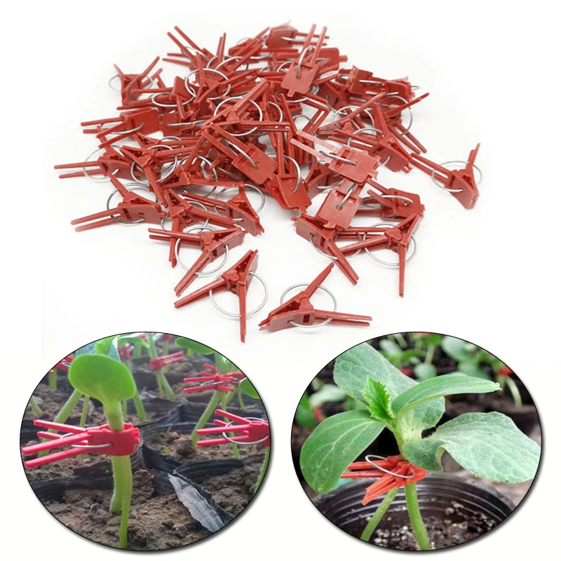 100% Brand New 50PCS Watermelon Garden Plant Support Round Mouth Cucumber Clips Plastic Clips Melon Graft Clips Flat Mouths
100% Brand New 50PCS Watermelon Garden Plant Support Round Mouth Cucumber Clips Plastic Clips Melon Graft Clips Flat Mouths