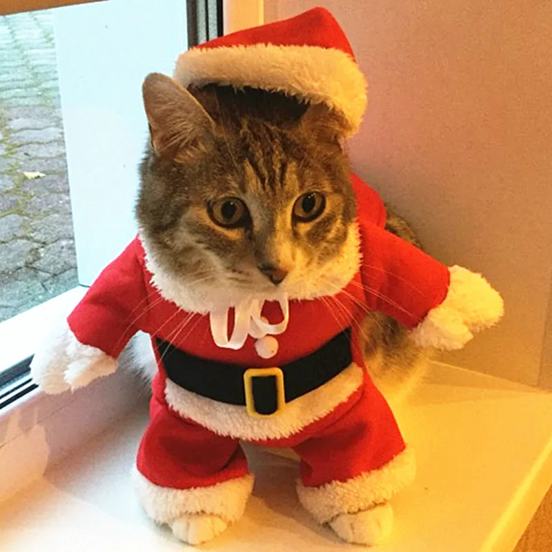 Pet Cat Costumes Funny Santa Claus Clothes For Small Cats Dogs Xmas New Year Christmas Pet Cat Clothing Winter Kitty Kitten
Pet Cat Costumes Funny Santa Claus Clothes For Small Cats Dogs Xmas New Year Christmas Pet Cat Clothing Winter Kitty Kitten
