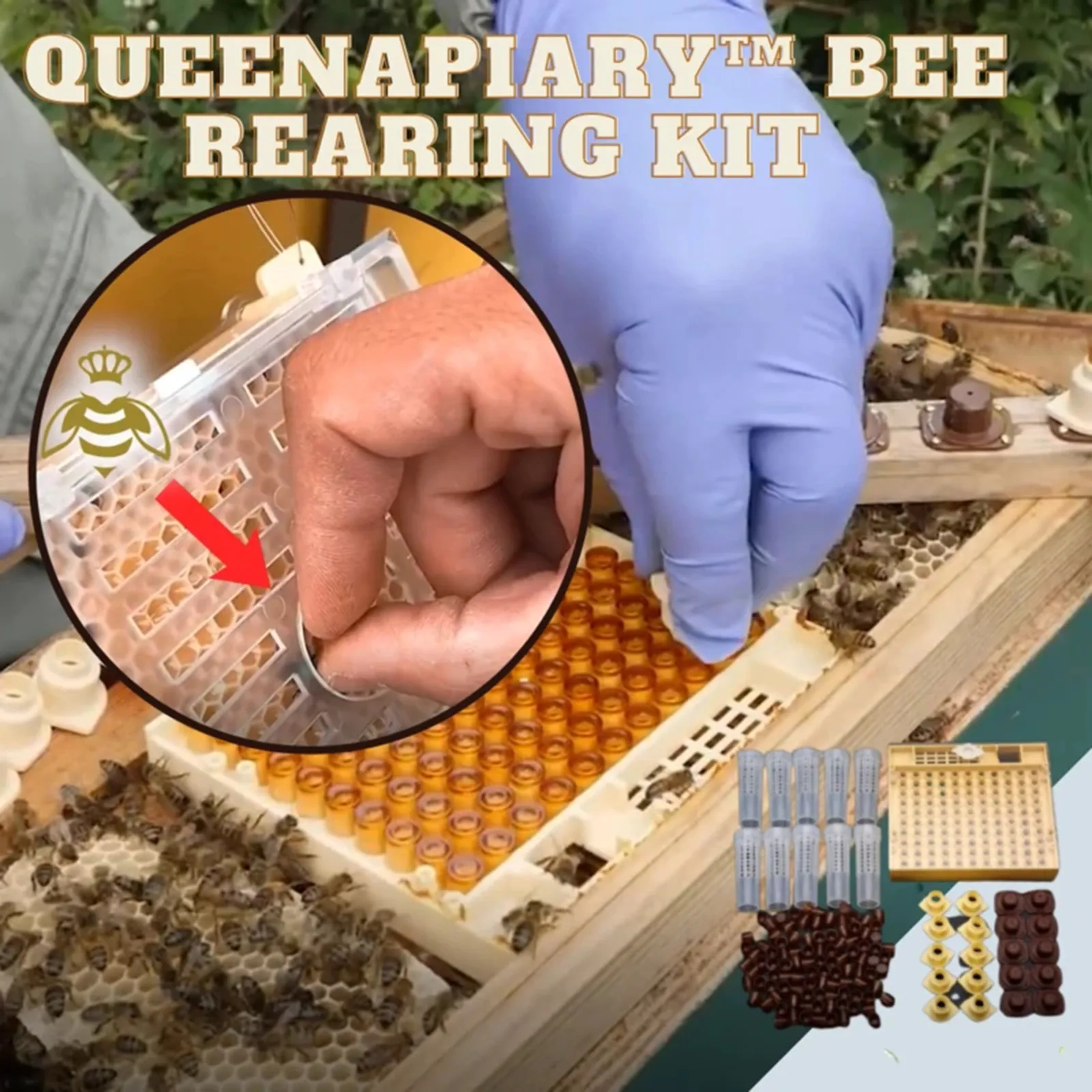 42@ 131pcs Bee Queen Rearing Cupkit Box System Beekeeping Cage Cell Cup Kit Garden Beekeeping Accessories
42@ 131pcs Bee Queen Rearing Cupkit Box System Beekeeping Cage Cell Cup Kit Garden Beekeeping Accessories