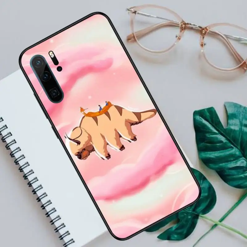 Appa Yip Yip Avatar Phone Cases For Huawei P40 P20 P30 lite Pro P Smart 2019 Mate 40 20 10 Lite Pro Nova 5t
Appa Yip Yip Avatar Phone Cases For Huawei P40 P20 P30 lite Pro P Smart 2019 Mate 40 20 10 Lite Pro Nova 5t
