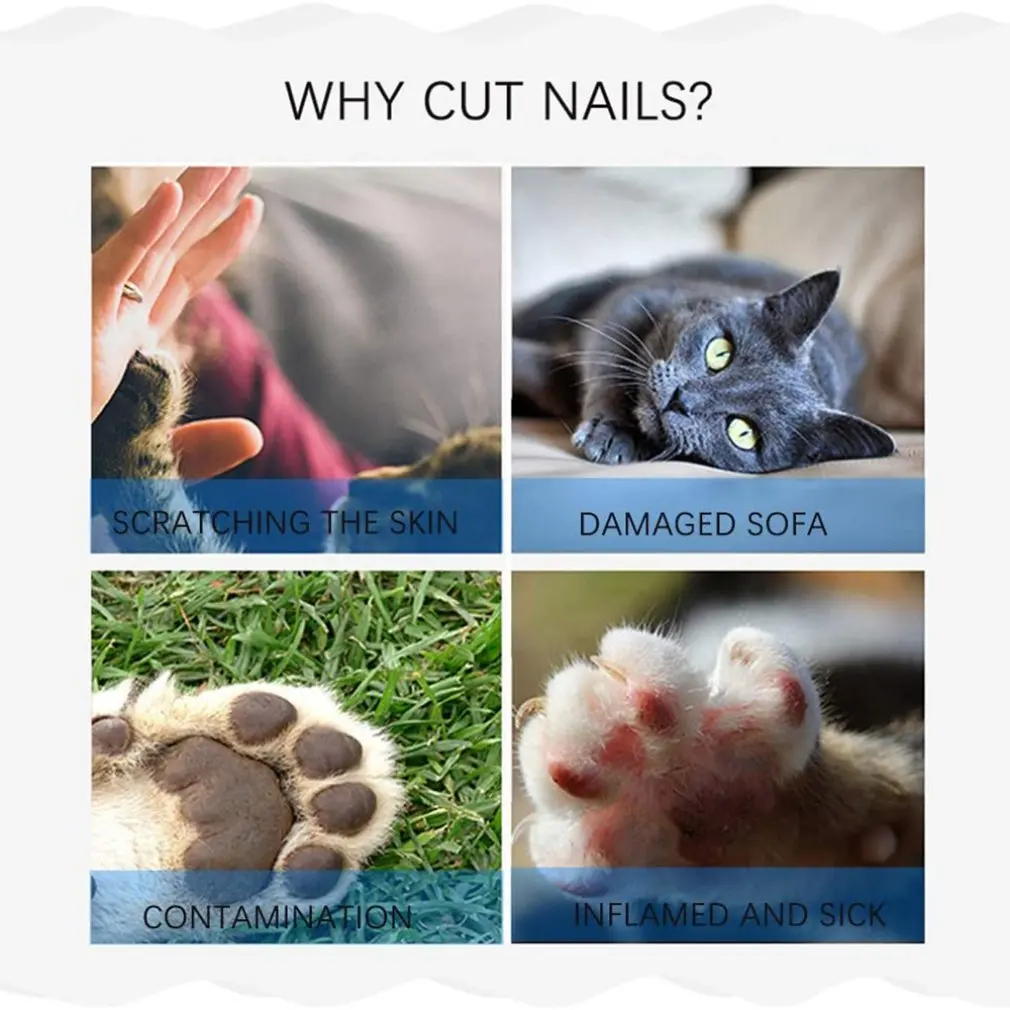 1pcs Pet Nail Clipper Pedicure Professional Pet Cats Dog Nail Clipper Cutter Stainless Steel Pet Grooming Scissors
1pcs Pet Nail Clipper Pedicure Professional Pet Cats Dog Nail Clipper Cutter Stainless Steel Pet Grooming Scissors