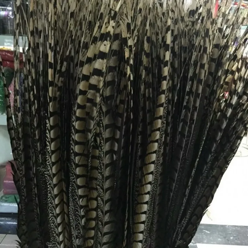 free shipping 10 pcs/Lot 50-110cm natural lady amherst pheasant tail feather extension centerpieces wedding /carnival/festival
free shipping 10 pcs/Lot 50-110cm natural lady amherst pheasant tail feather extension centerpieces wedding /carnival/festival