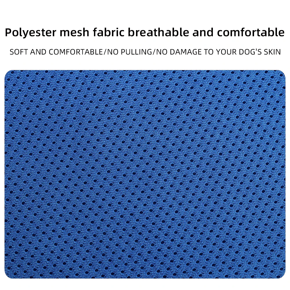 Dog Harness and Leash Set Breathable Reflective Chest Strap Dog Cat Supplies Chain Leash Vest Small-Medium Pet Leash Harness 
Dog Harness and Leash Set Breathable Reflective Chest Strap Dog Cat Supplies Chain Leash Vest Small-Medium Pet Leash Harness