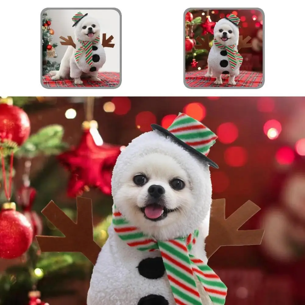 Skin-friendly Soft Cosplay Prop Pet Snowman Accessory Polyester Pet Cosplay Clothes Good Craftsmanship for Kitten
Skin-friendly Soft Cosplay Prop Pet Snowman Accessory Polyester Pet Cosplay Clothes Good Craftsmanship for Kitten